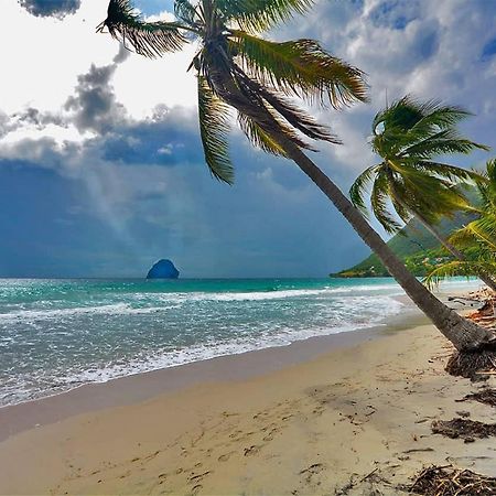 Malilia Beach A Sainte-Anne - Wifi -5 Min A Pied De La Plage Bagian luar foto