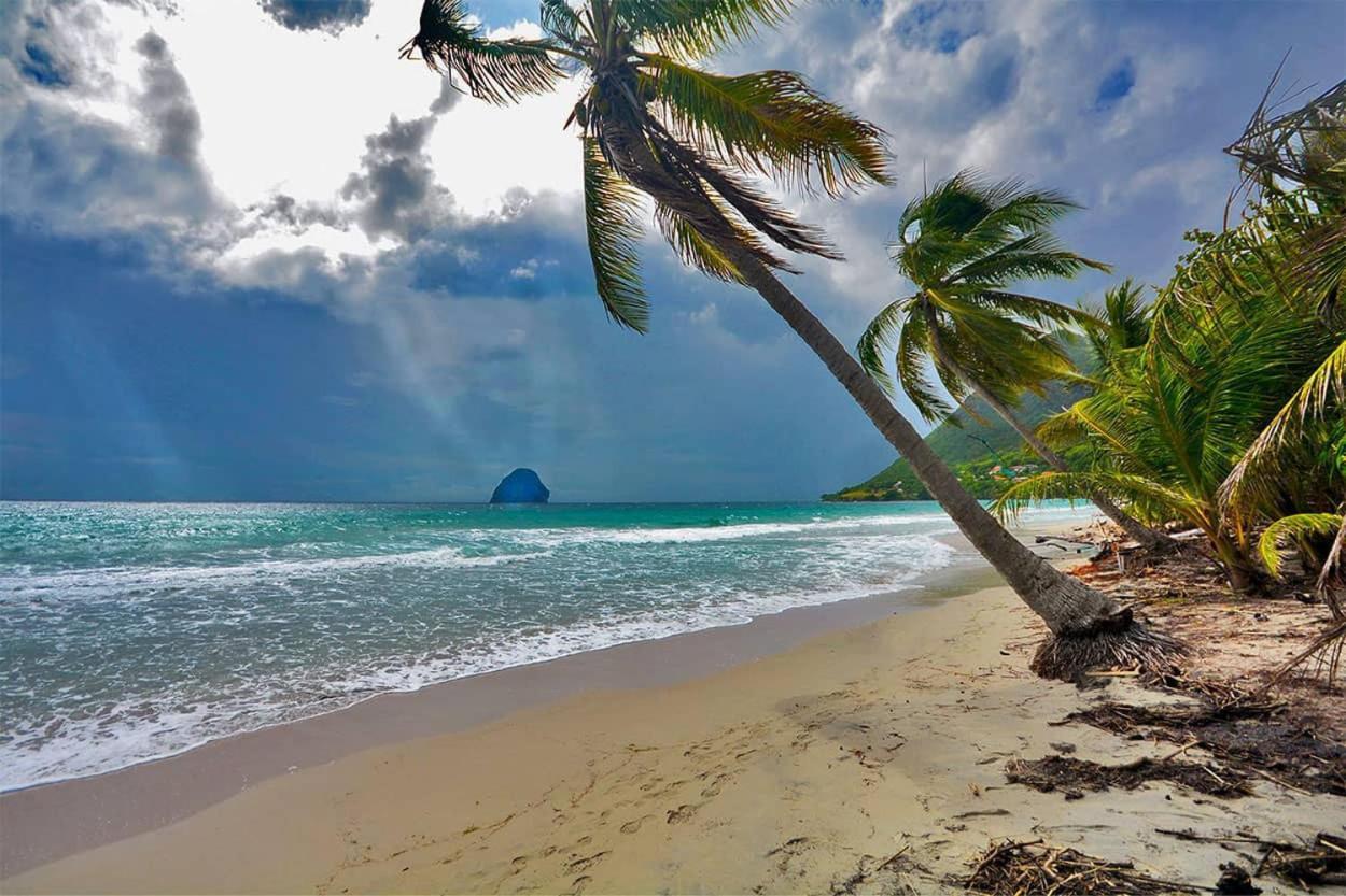 Malilia Beach A Sainte-Anne - Wifi -5 Min A Pied De La Plage Bagian luar foto